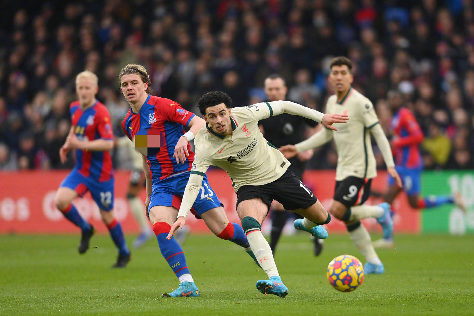 让文章在搜 让文章在搜